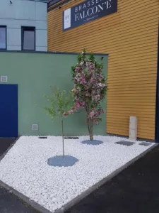 Brasserie Falcon’e à Prouvy