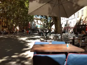 Café Des Vignes à Salernes