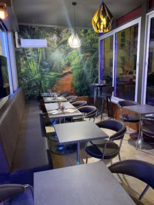 A La Belle Epoque à Lyon