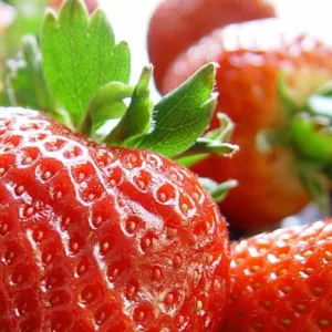 Head Pascale B. Personal Head Services, Head And Catering A Domicile; Cooking Classes à Quimper