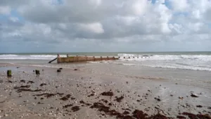 La Pergola à La Couarde-sur-Mer