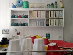 Myrtille à Clermont-Ferrand