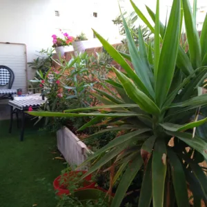 Le Victor Hugo à Levallois-Perret