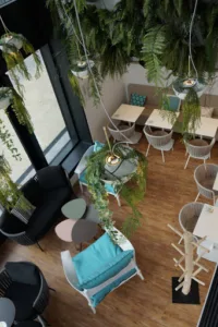 Pola Melting Bowls à Strasbourg