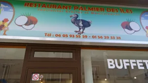 Palmier des iles à Alfortville