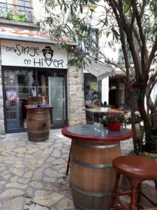 Un Singe en Hiver à Narbonne