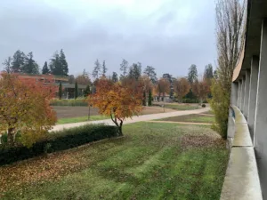 Cirius Le Complexe à Montrond-les-Bains