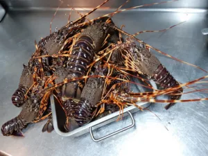 EN FACE Le Restaurant de proximité à Sète