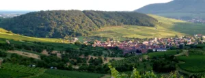 Domaine Du Bollenberg à Westhalten