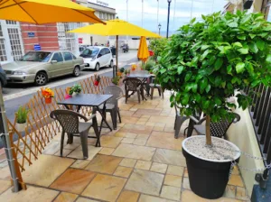 L’Arganier à Dinard