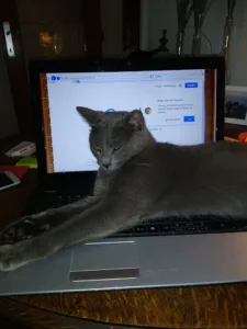 A Monténégro à Nancy