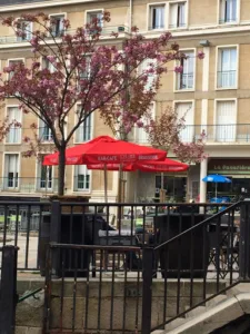 BAR à CHAT COSY LUNCH à Rouen