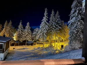 Hotel Le Rocher Du Cerf (Restaurant – La Table de Félix) à Laveissière