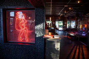 Ninkasi Saint Romain en Gal à Saint-Romain-en-Gal