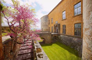 Château de Bagnols à Bagnols