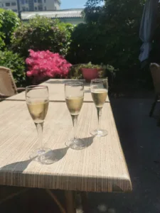 Restaurant Les Alpins à Grenoble