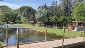 pisciculture du pont de caylus à Villeneuve-lès-Béziers