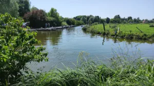 O Marais « by ISNOR » à Clairmarais