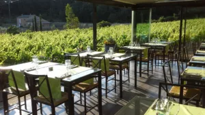 L’Estellan à Lorgues