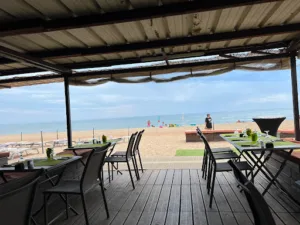 Les Canisses à Vendres