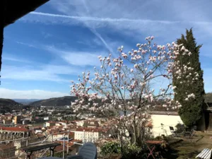 Café Du Commerce à Vienne