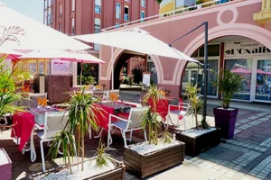 L’Oxalis à Lattes