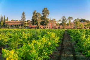 Vins Côtes de Provence Château Saint-Roux Cave & E-Boutique à Le Cannet-des-Maures