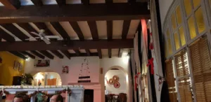 Le Singe Vert à Blois