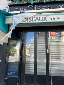 Les Oiseaux à Paris