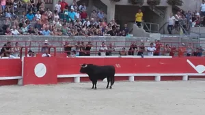 Le Chalet des Sports Garcia à Beaucaire