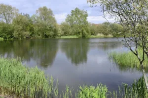 Vallée Des Vignes à Amiens