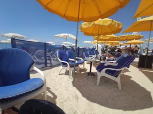 Bistingo à Marseille