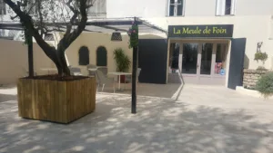 La meule de foin à Arles