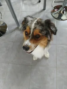 Leroy Alexandra à Gisors