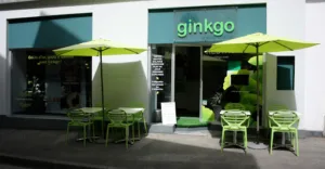 ginkgo à Rodez