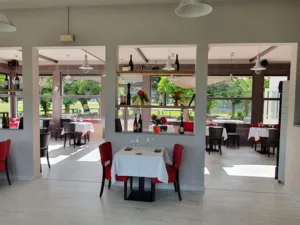 Les ailes à Gaillac