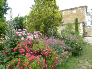 The Abbey Garden Valsaintes à Simiane-la-Rotonde