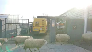 Bip Express à La Courneuve