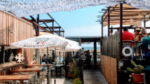 Coqui Thau à Marseillan