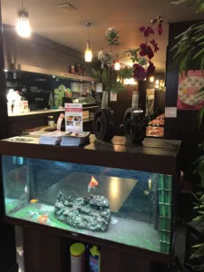 Sakura Sushi à Montrouge