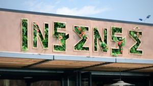 Insensé à St-Laurent-du-Var