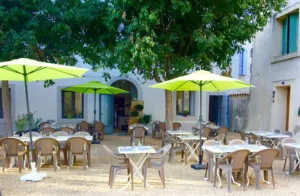 Bambou Asia à Calvisson