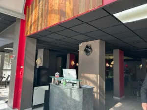 a pas de loup à Lyon