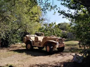 Au Chat qui Pète à Mérignac