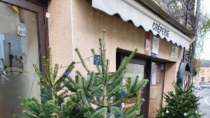 Mouchoir de Poche à La Gacilly