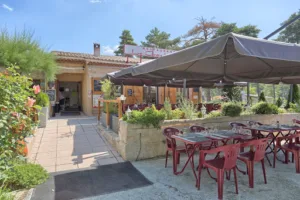 Le Grand Saule à Séranon