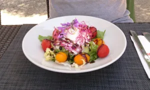 bar des collegues, peyrolles en provence à Peyrolles-en-Provence