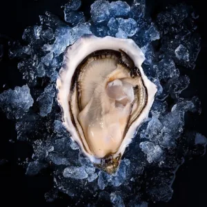 Brasserie Grimbergen à La Garde