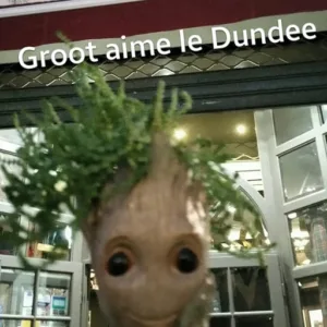 Dundee Resto Pub à Orléans