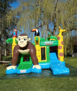 Camping municipal de la Douze à Charlieu